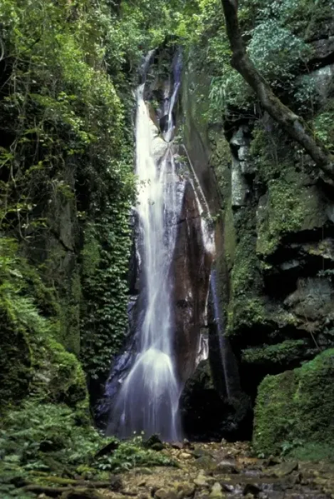Framed Print : Tanzania, Gombe National Park. Kakombe Falls Framed Print : Tanzania, Gombe National Park. Kakombe Falls