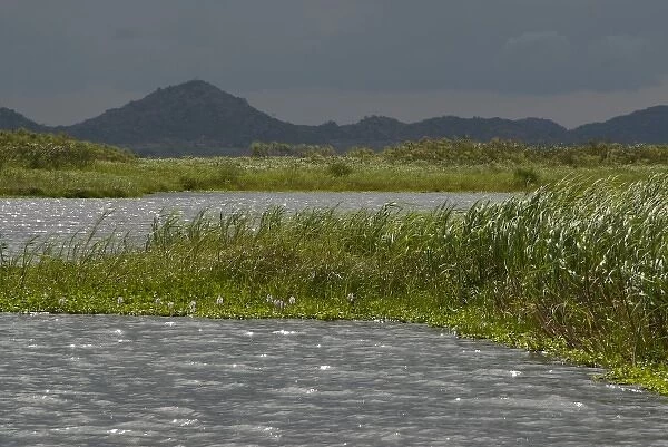 Tanzania, No Water No Life Mara River Expedition, Kirumi, Mara River, Masurua Swamp
