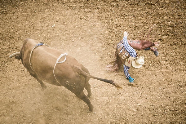 Taos, New Mexico, USA. Small town western rodeo. Bull riding competition