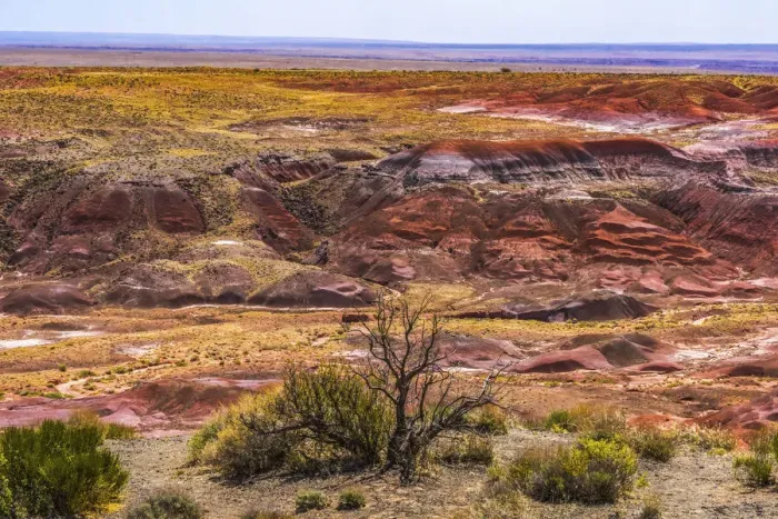 Framed Print : Tawa Point, Painted Desert, Petrified Forest National Park, Arizona