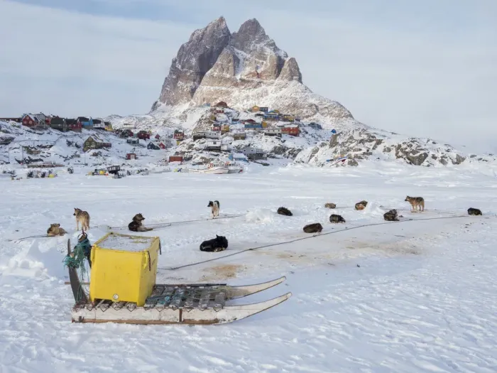 Framed Print : Team of sled dog during winter in Uummannaq in Greenland Framed Print : Team of sled dog during winter in Uummannaq in Greenland