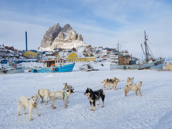 Framed Print : Team of sled dog during winter in Uummannaq in Greenland