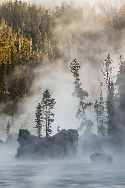 Tees and boulders in Yellowstone River at sunrise, Yellowstone National Park