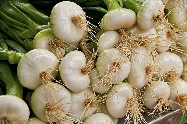 Tender Green onions are perfection at this farmers market in the French village of Louhans
