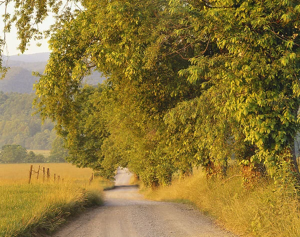 Tennessee, Cades Cove, Great Smoky Mountains National Park, Country road passing by field