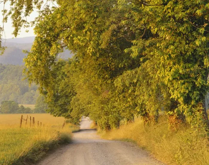 Framed Print : Tennessee, Cades Cove, Great Smoky Mountains National Park, Country road passing by field Framed Print : Tennessee, Cades Cove, Great Smoky Mountains National Park, Country road passing by field