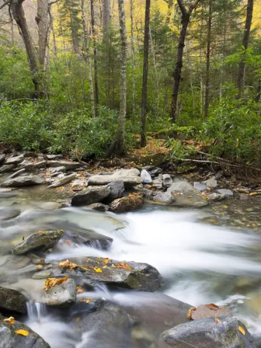 Framed Print : Tennessee, Great Smoky Mountains National Park, Alum Cave Creek