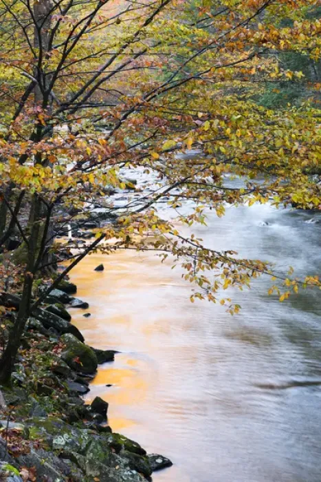 Framed Print : Tennessee, Great Smoky Mountains National Park, Little River Framed Print : Tennessee, Great Smoky Mountains National Park, Little River