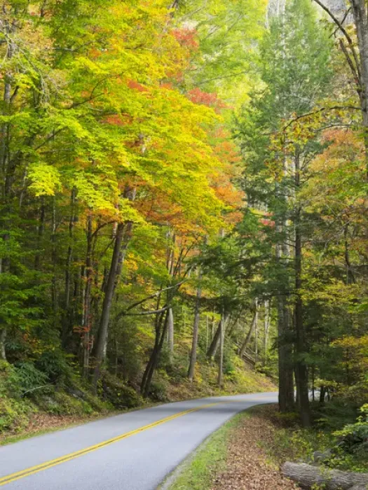 Framed Print : Tennessee, Great Smoky Mountains National Park, view along Little River Road Framed Print : Tennessee, Great Smoky Mountains National Park, view along Little River Road