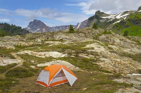 Tent in backcountry campsite. Yellow Aster Butte Basin, Mount Baker Wilderness, North Cascades