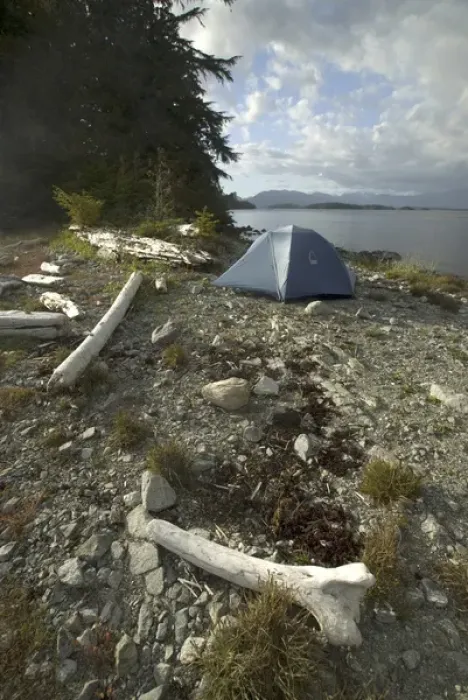 Framed Print : Tent at Keith Island Campsite, Broken Island Group, Pacific Rim National Park Preserve