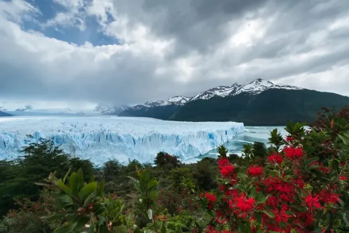 Framed Print : Terminal Face of the Perito Moreno Glacier, Patagonia, Argentina Framed Print : Terminal Face of the Perito Moreno Glacier, Patagonia, Argentina