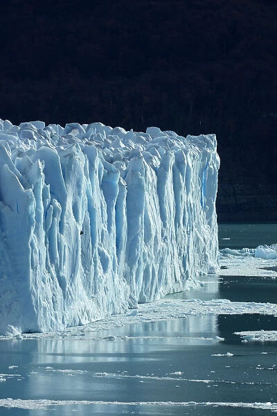 Terminal face of Perito Moreno Glacier and Lago Argentino. Parque Nacional Los Glaciares