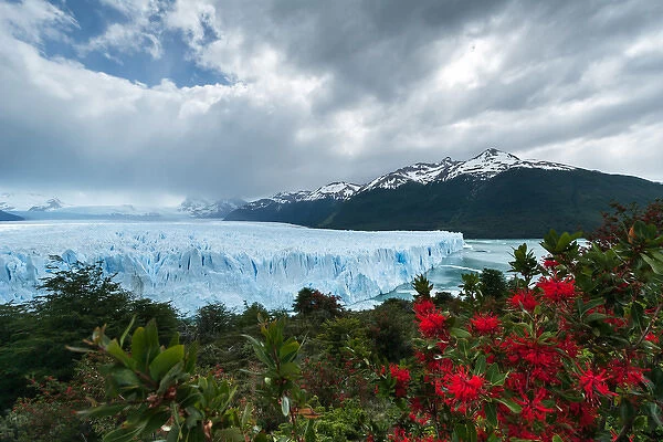 Terminal Face of the Perito Moreno Glacier, Patagonia, Argentina