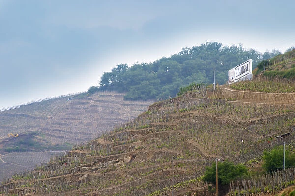 Terraced vineyards in the Cote Rotie district around Ampuis in northern Rhone planted