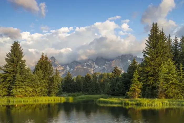 Framed Print : Teton mountains relfect in Schwabacher Landing on the Snake River in Grand Teton National Park Framed Print : Teton mountains relfect in Schwabacher Landing on the Snake River in Grand Teton National Park