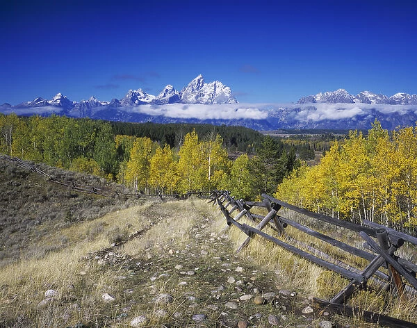 Teton Range and fence line fall colors, Grand Teton NP, Wyoming, September 2005