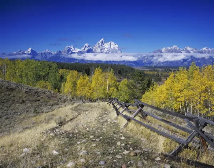Framed Print : Teton Range and fence line fall colors, Grand Teton NP, Wyoming, September 2005