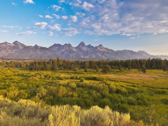 Framed Print : Teton Front Range and Sage at Sunrise, Antelope Flats, Grand Teton National Park, WY, USA