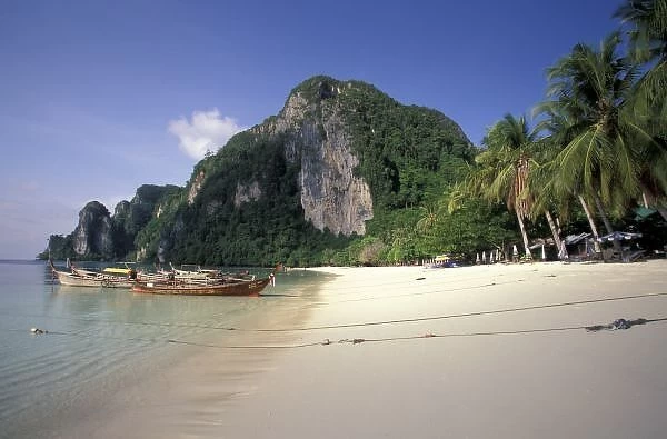 Thailand, Andaman Sea, Ko Phi Phi Island, Beach landscape