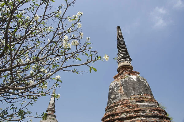 Thailand, Ayutthaya. Wat Phra Si Sanphet, the historic home to the royal palace from 1350-1448