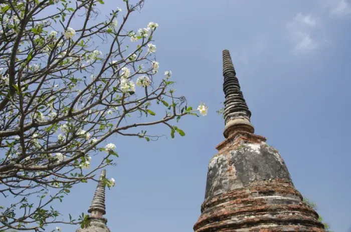 Framed Print : Thailand, Ayutthaya. Wat Phra Si Sanphet, the historic home to the royal palace from 1350-1448 Framed Print : Thailand, Ayutthaya. Wat Phra Si Sanphet, the historic home to the royal palace from 1350-1448