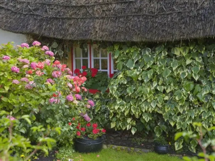 Framed Print : Thatched cottage Framed Print : Thatched cottage