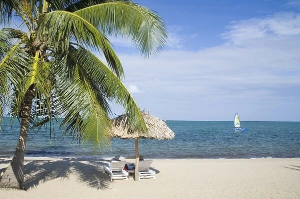 Thatched palapas, palm tree and lounge chairs on beach, looking out to Caribbean Sea