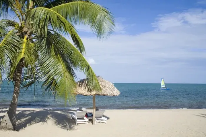 Framed Print : Thatched palapas, palm tree and lounge chairs on beach, looking out to Caribbean Sea