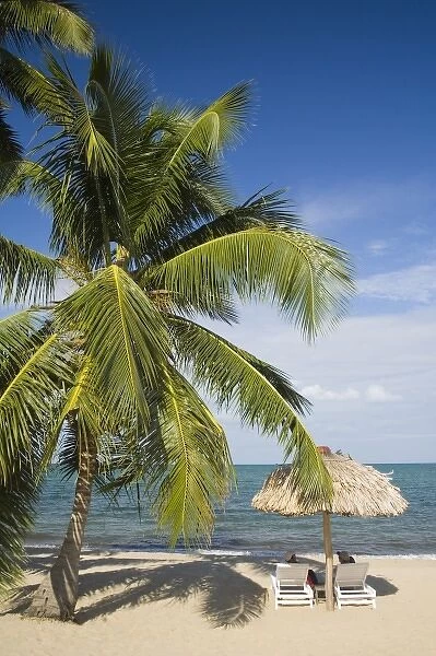 Thatched palapas, palm tree and lounge chairs on beach, looking out to Caribbean Sea