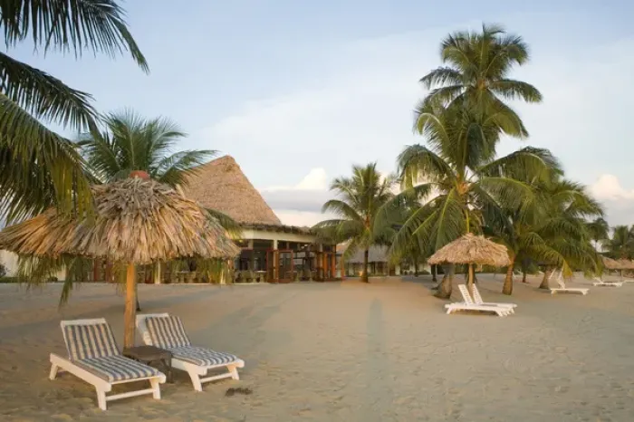 Framed Print : Thatched palapas, palm trees and lounge chairs on beach, Jaguar Reef Lodge, Hopkins Framed Print : Thatched palapas, palm trees and lounge chairs on beach, Jaguar Reef Lodge, Hopkins