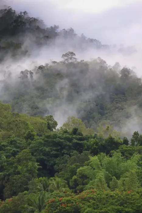 Framed Print : Thick cloud covers the tropical rainforest covered mountains that surround Cairns Framed Print : Thick cloud covers the tropical rainforest covered mountains that surround Cairns