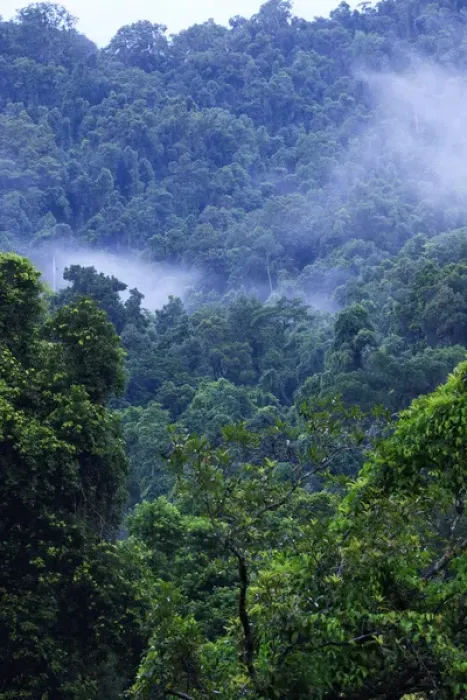Framed Print : Thick, tropical rainforest covered mountains surround the Babinda Boulders, an hour s Framed Print : Thick, tropical rainforest covered mountains surround the Babinda Boulders, an hour s