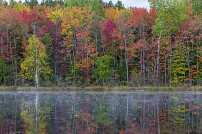 Framed Print : Thornton Lake in fall color, Alger County, Michigan Framed Print : Thornton Lake in fall color, Alger County, Michigan