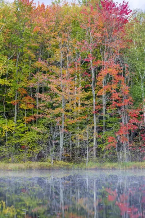 Framed Print : Thornton Lake in fall color, Alger County, Michigan