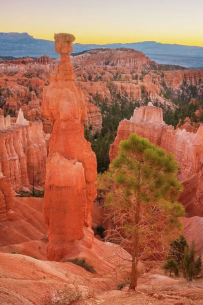 Thor's Hammer and colorful hoodoos seen from below the canyon rim at Sunrise Point, Bryce Canyon National Park, Utah