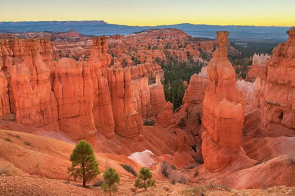 Thor's Hammer and colorful hoodoos seen from below the canyon rim at Sunrise Point, Bryce Canyon National Park, Utah