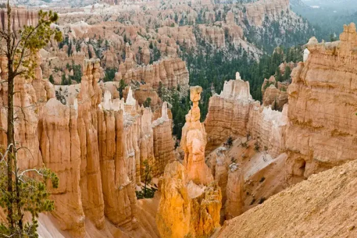 Framed Print : Thors Hammer. Hoodoo. Bryce Canyon National Park. Utah. US Framed Print : Thors Hammer. Hoodoo. Bryce Canyon National Park. Utah. US