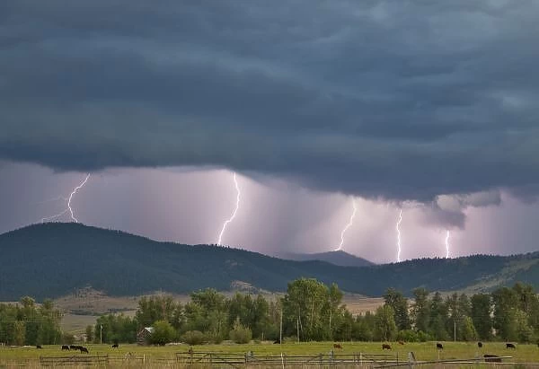 Thunderstorm produced lightning in the Jocko Valley near Arlee, Montana