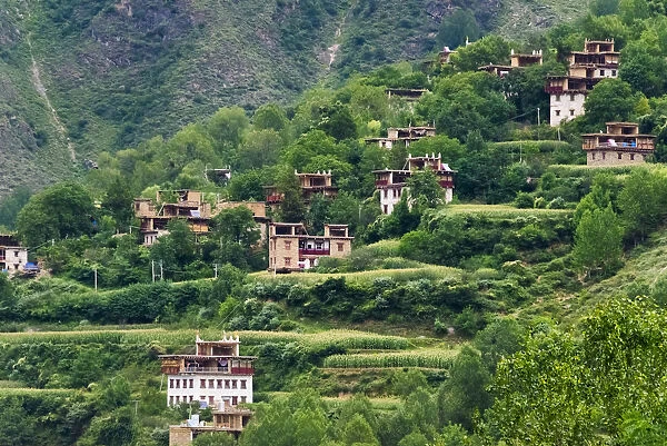 Tibetan houses in the mountain, Zhonglu Village, Danba County, Garze Tibetan Autonomous Prefecture
