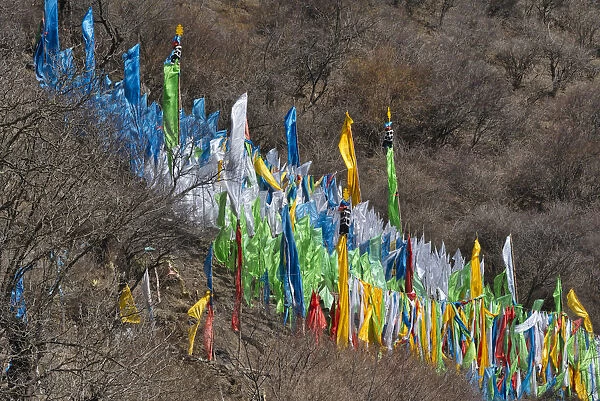Tibetan prayer flags on mountain slope, Jinchuan, Sichuan Province, China