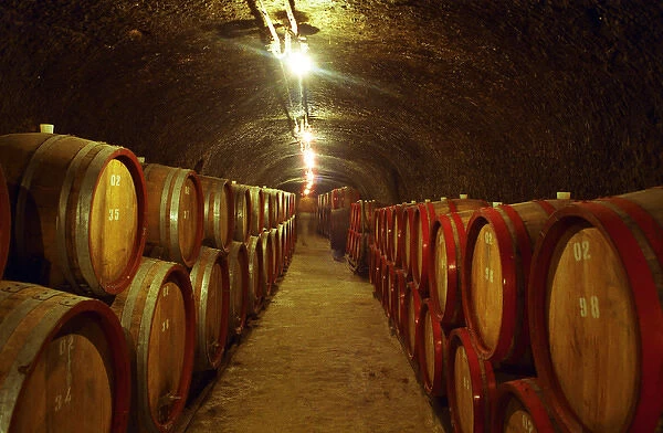 The Tibor Gal (GIA) winery in Eger (famous for Egri Bikaver): underground tunnels