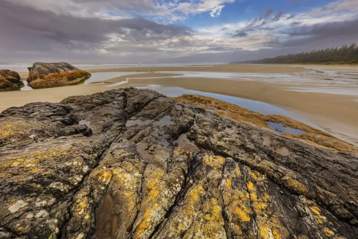 Framed Print : Tide pools along the Pacific Ocean coastline in Pacific Rim National Park Reserve near Tofino