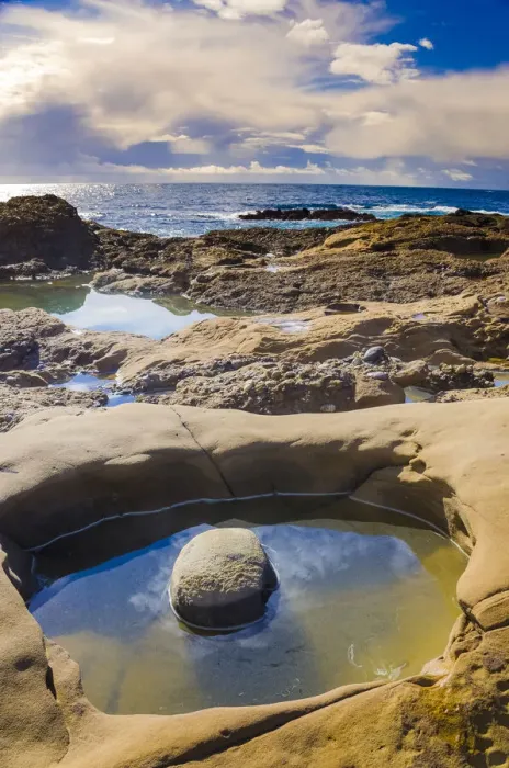 Framed Print : Tidepool, Point Lobos State Natural Reserve, California, USA