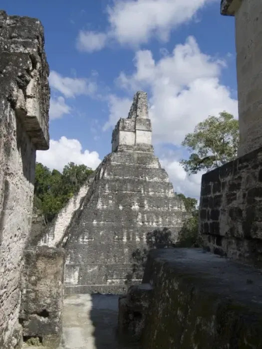 Framed Print : Tikal, Guatemala: Tikal Maya Ruins, Pyramid #1 Framed Print : Tikal, Guatemala: Tikal Maya Ruins, Pyramid #1