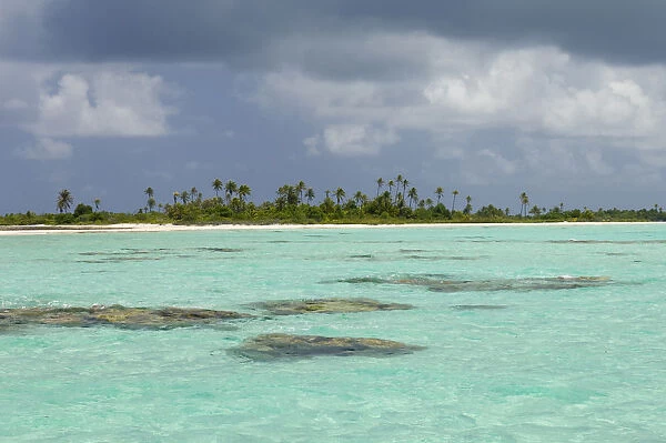 Tikehau, Tuamotu Archipelago, French Polynesia