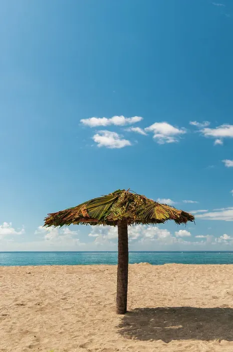 Framed Print : A tiki umbrella on a palm tree trunk on Pinney's white sand beach. Nevis Island, West Indies Framed Print : A tiki umbrella on a palm tree trunk on Pinney's white sand beach. Nevis Island, West Indies