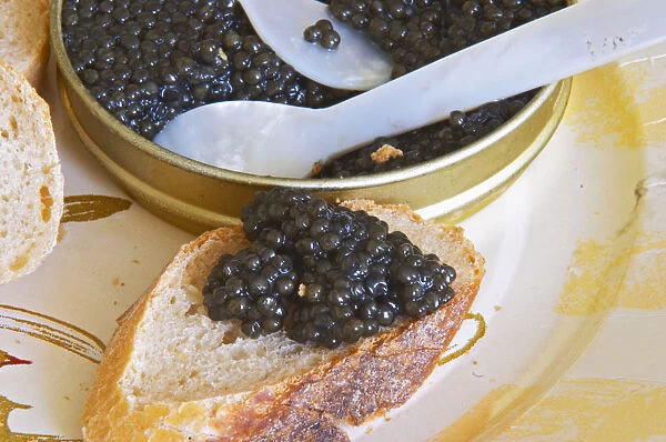 A tin of black caviar with slices of bread and a spoon of mother-of-pearl to scoop