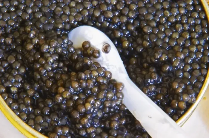 Framed Print : A tin of black caviar with slices of bread and a spoon of mother-of-pearl to scoop Framed Print : A tin of black caviar with slices of bread and a spoon of mother-of-pearl to scoop