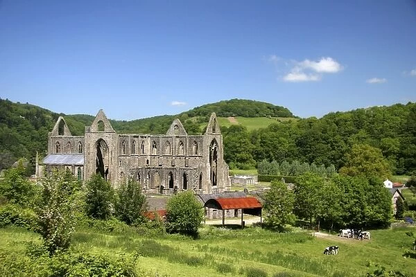Tintern, Wales. The ruins of an ancient yet magnificent abbey, the Tintern Abbey in Wales